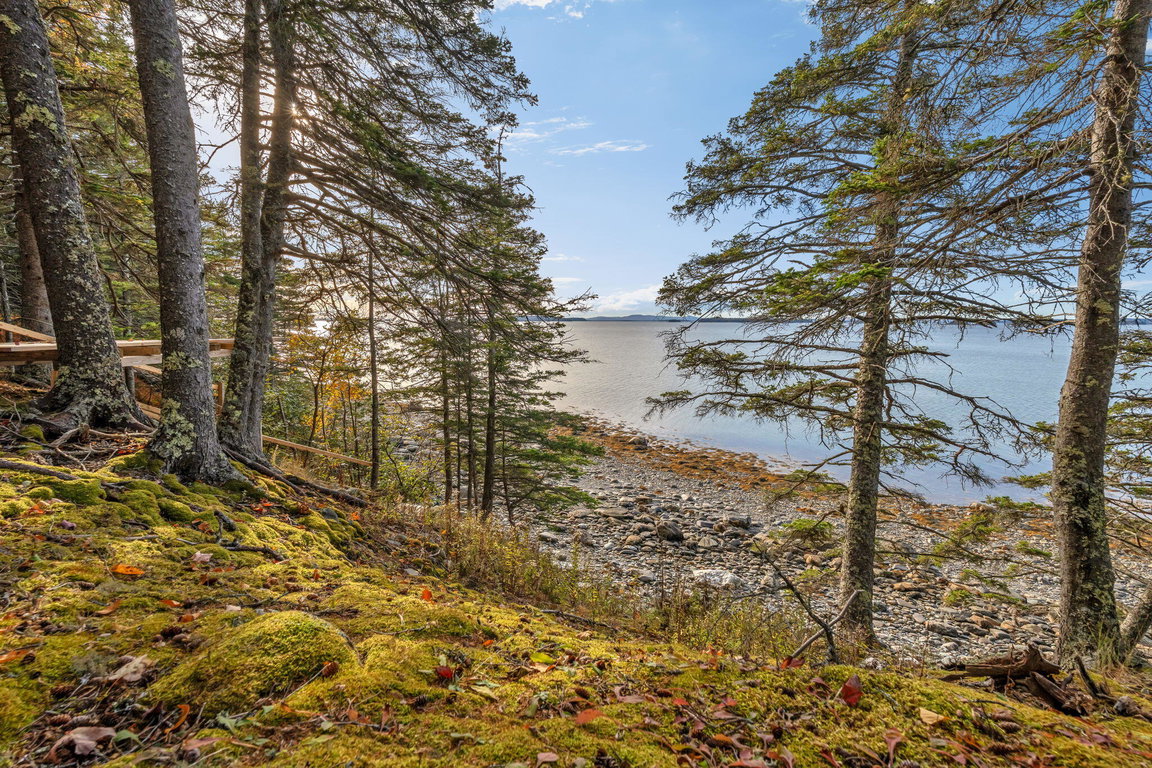 10-web-or-mls-495-north-deer-isle-land