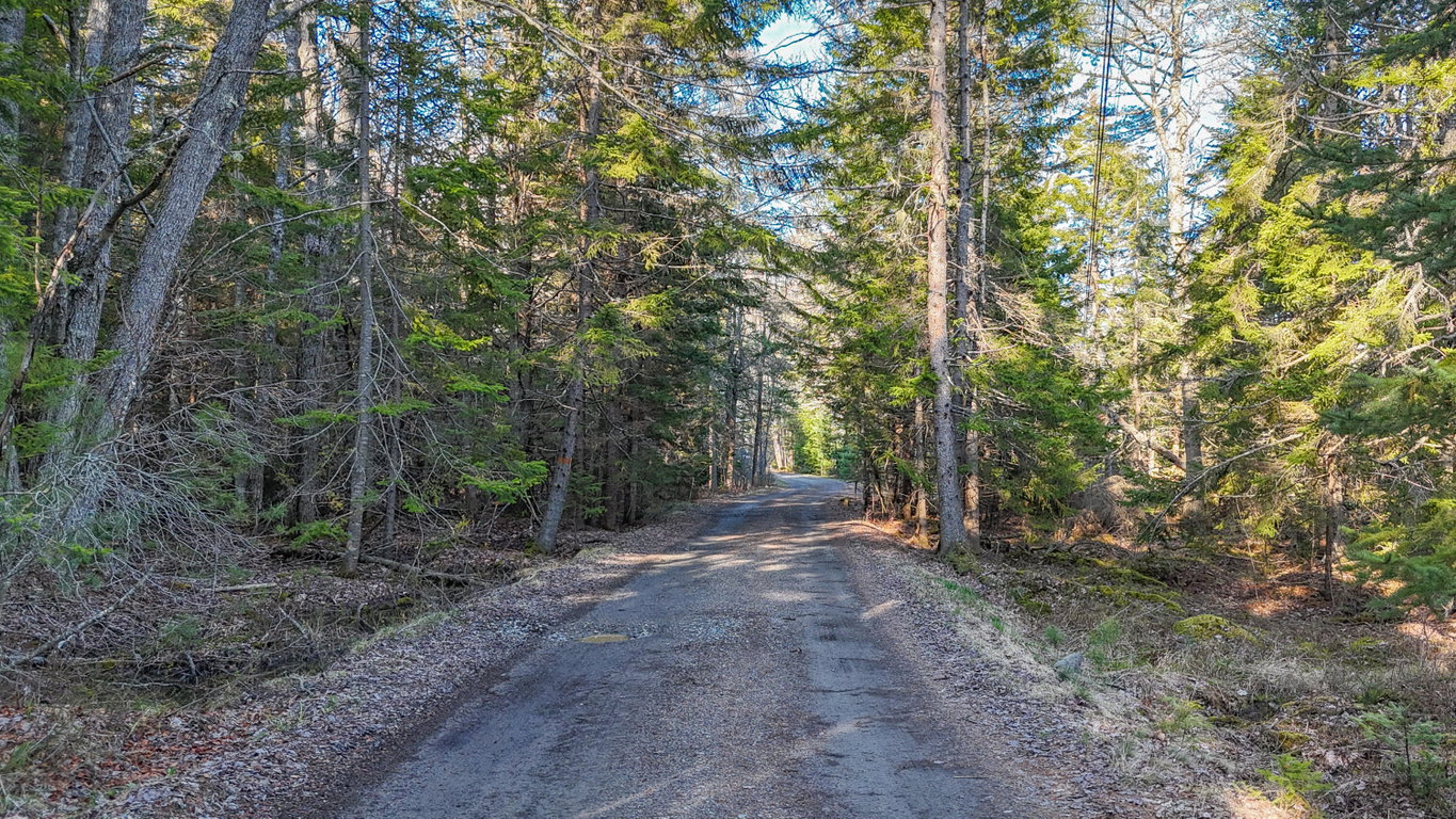 Lot on Salt Pond Rd.