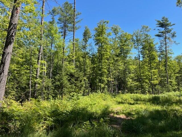 Lot 045 Sawyer Notch Road Andover