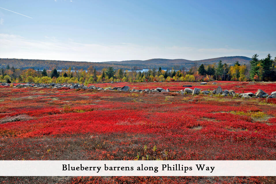 along Phillips Way (3)