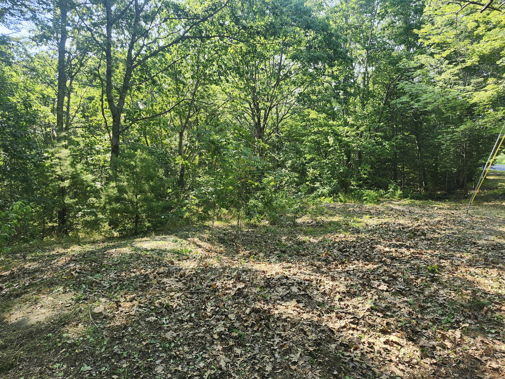 055 Wiscasset Road Whitefield
