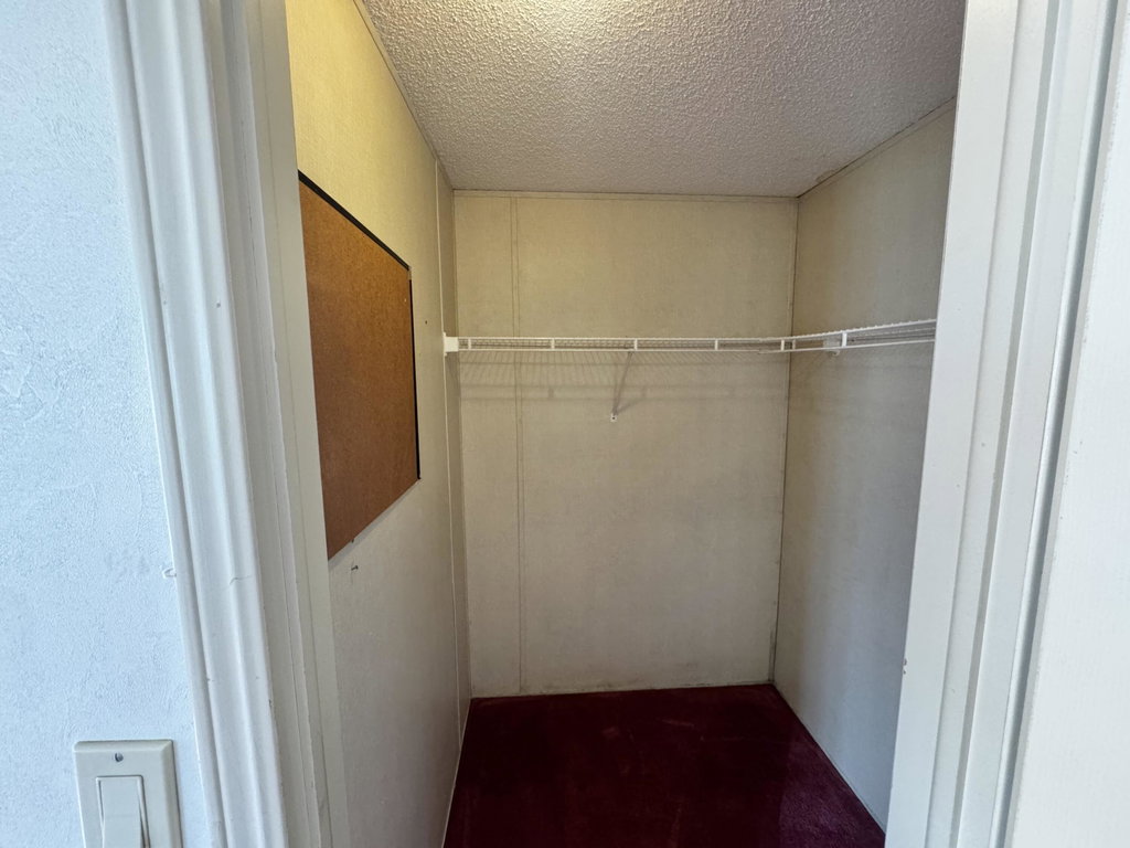 Primary Walk-In Closet