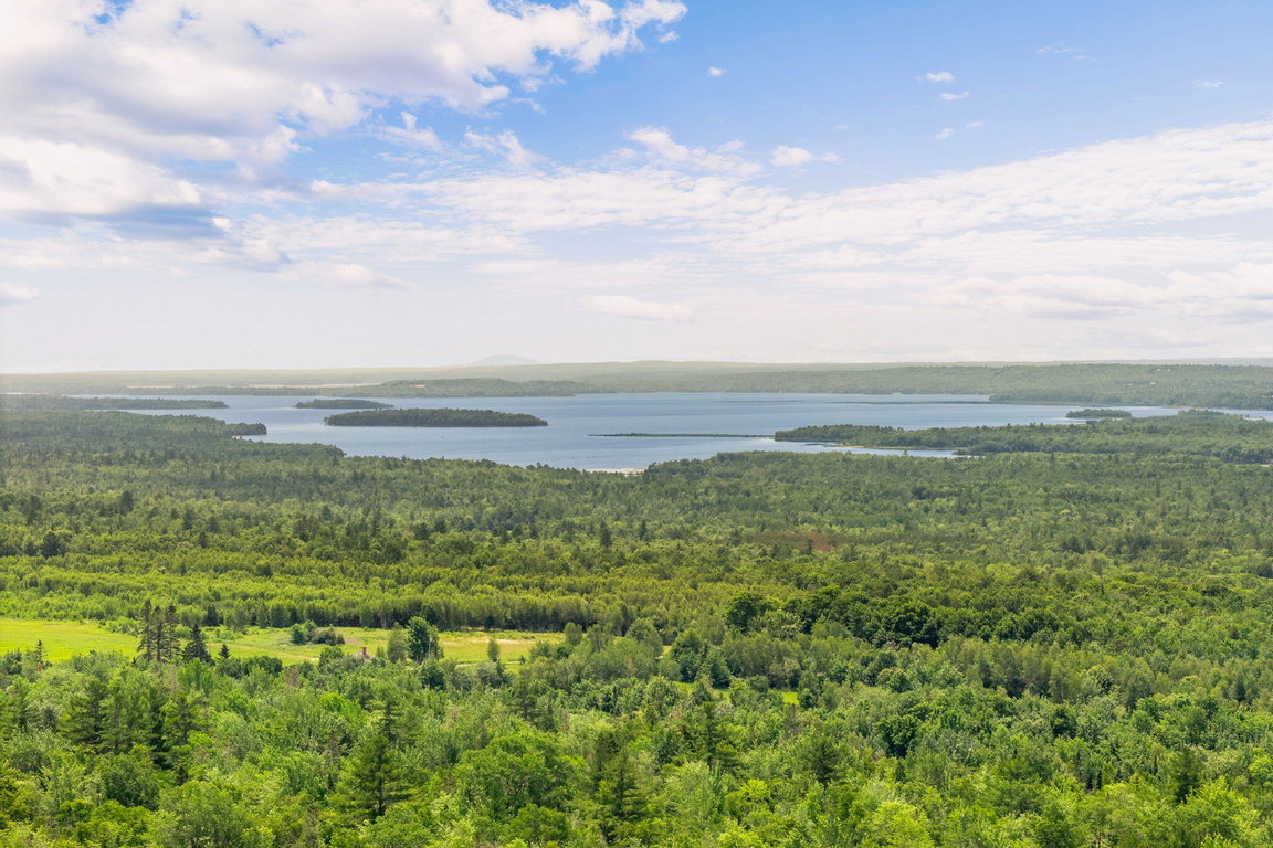 10-web-or-mls-1545-waltham-rd