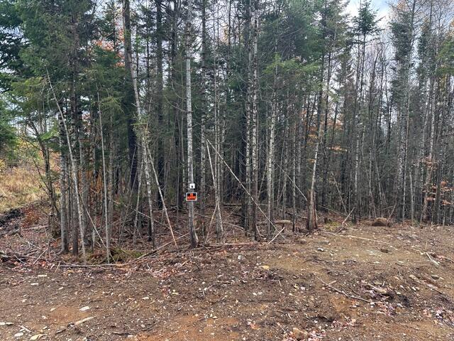 Lot ''N'' Whitetail Way Greenville