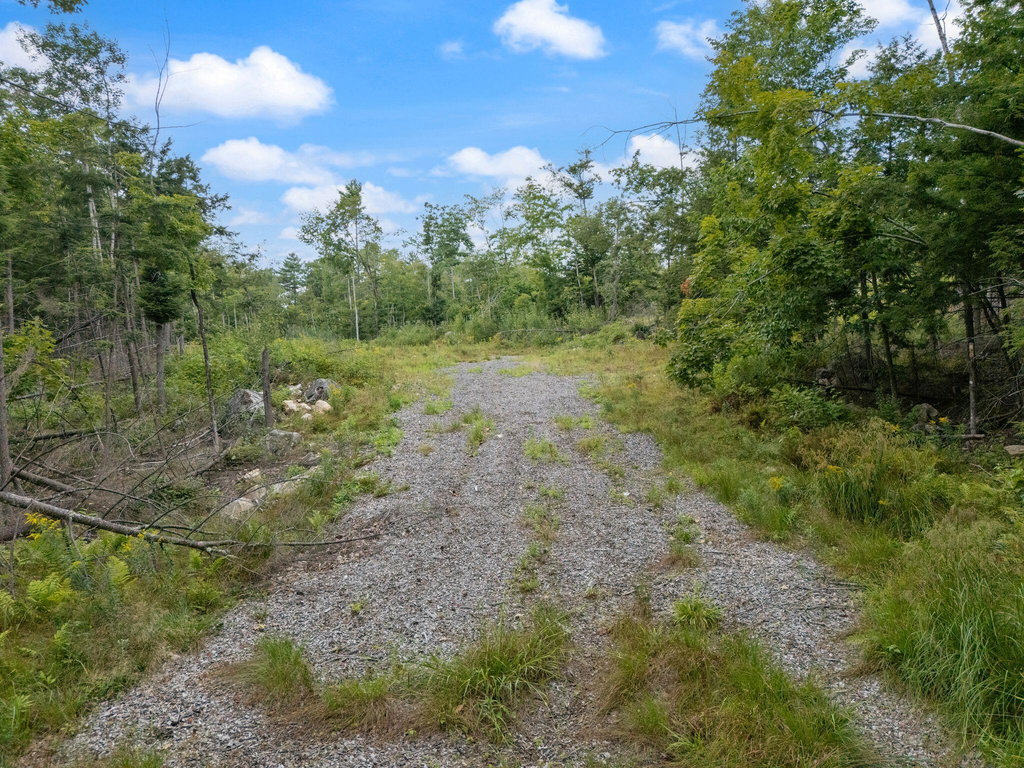 Parcel 1 Map 49 Lot 16.2 Sanborn Road Newfield