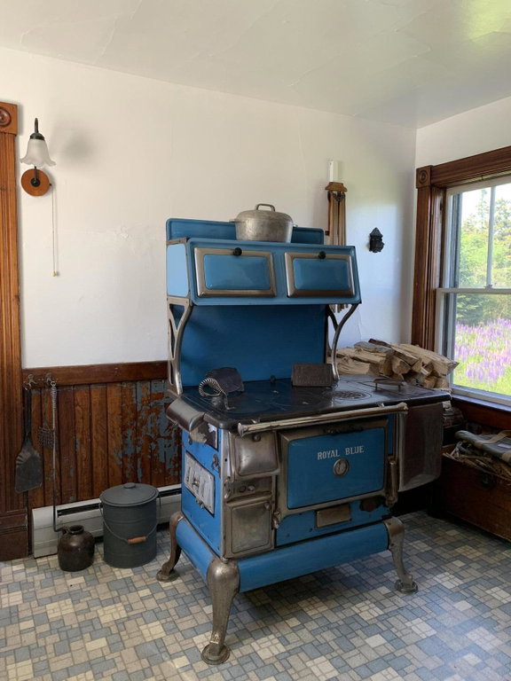 Wood burning cook stove