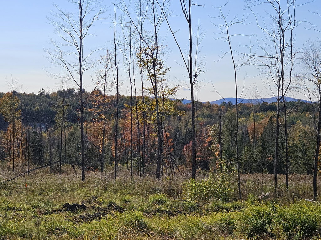 R11-033-4 Bailey Hill Road Farmington