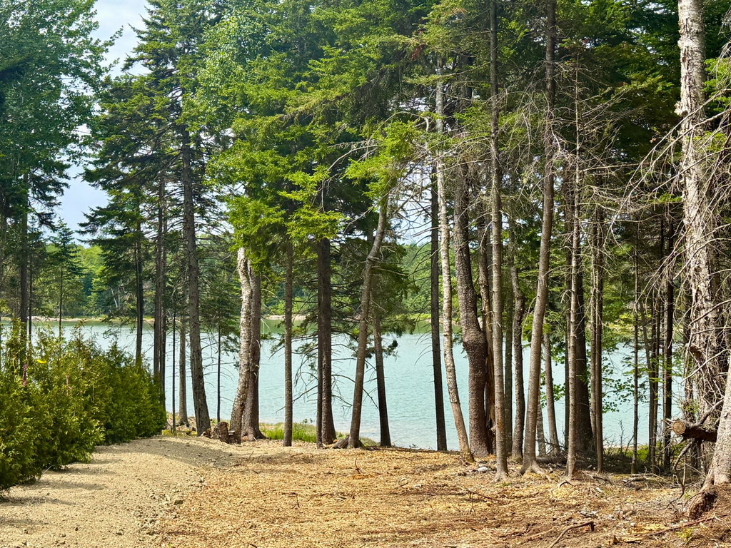 93 Goods Point Road Steuben