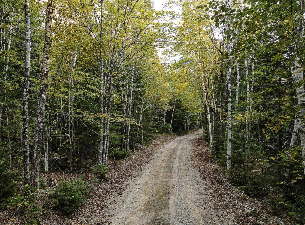 Lot 11-1 Carry Ridge Road Northfield