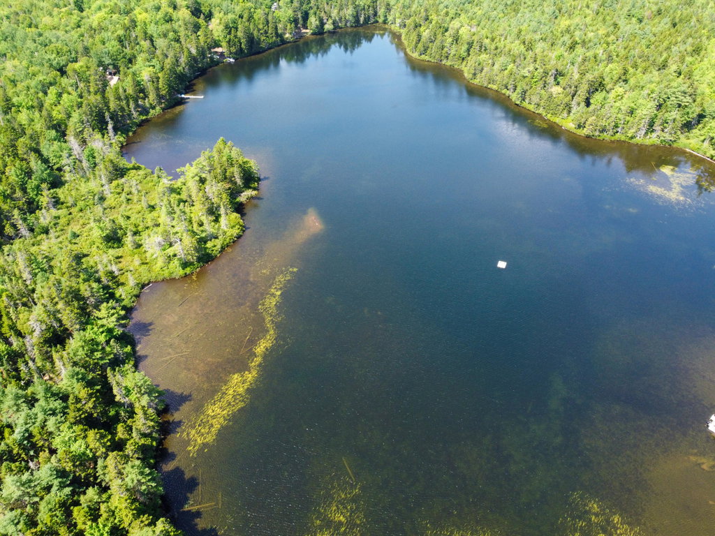 Lot 6 Goulding Lake Road Robbinston