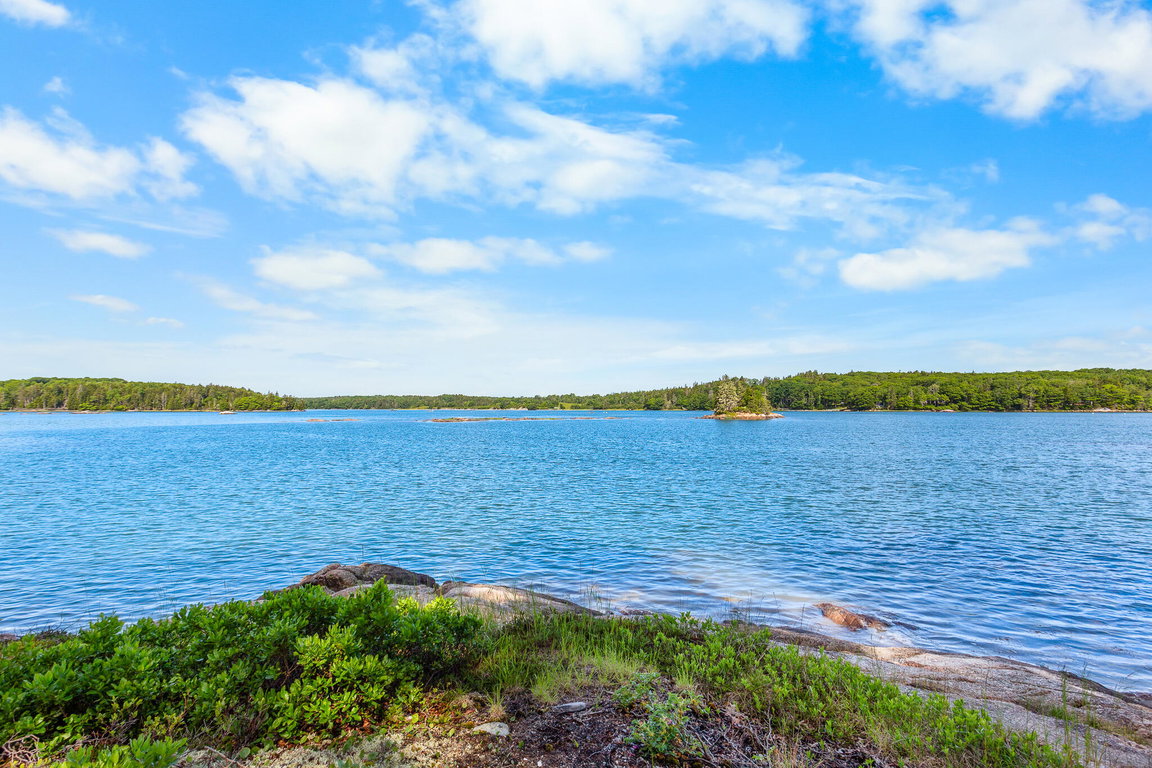 99 Huckleberry