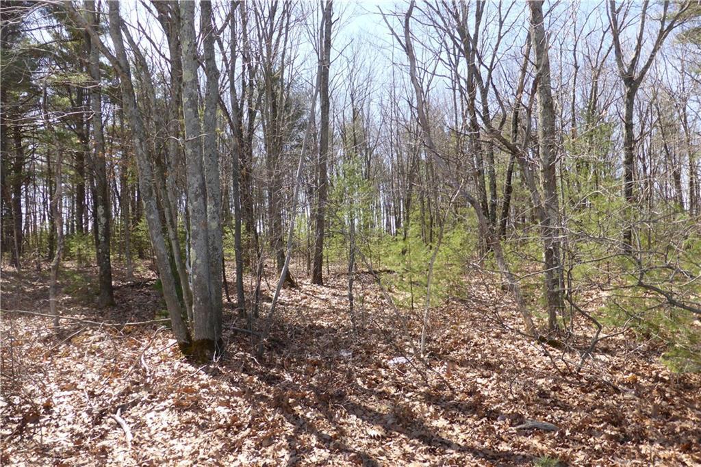Lot 1C Main Street / Rte 109  Sanford
