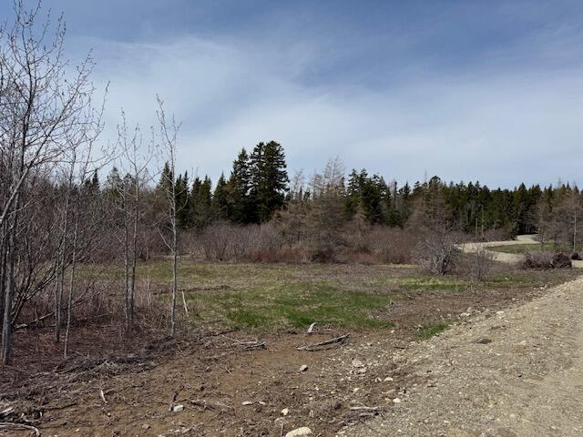 Lot 5 Holmes Bay Farms Road Whiting