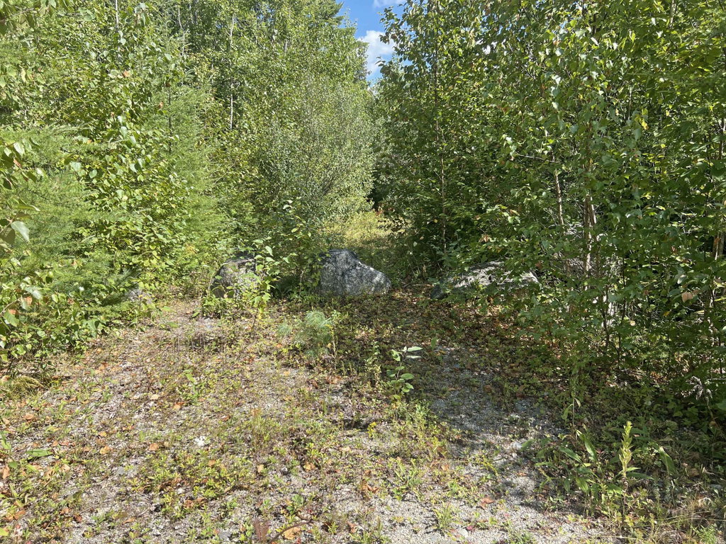 1i