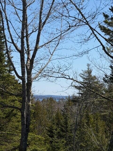 view from back deck Raccoon Cove