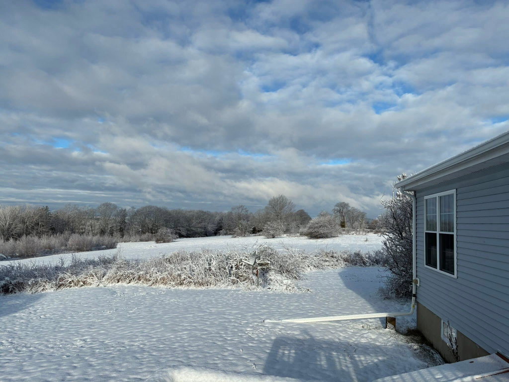 Rear yard