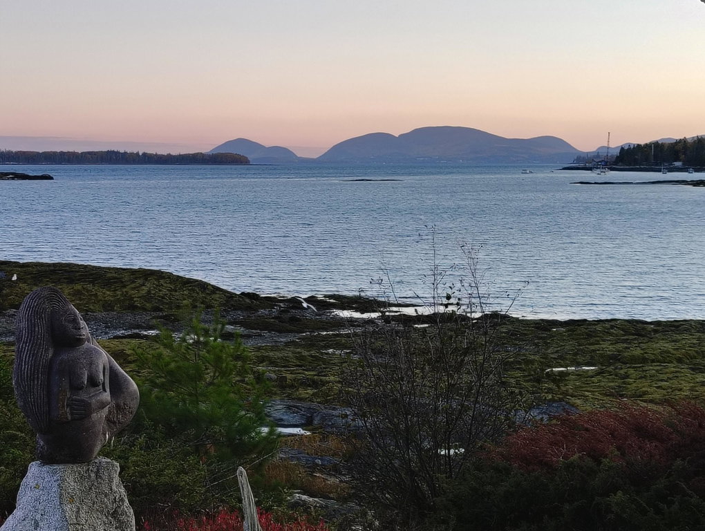 gull rock 4