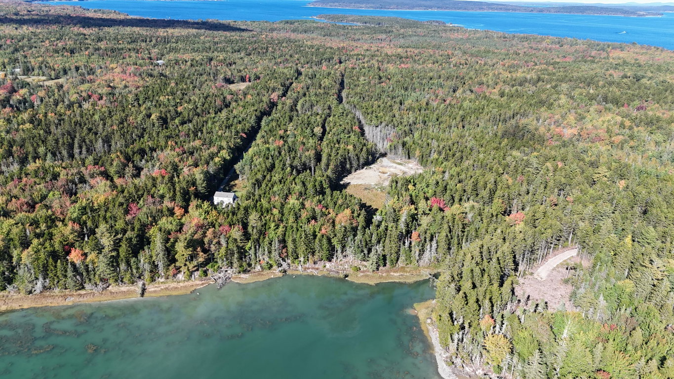 dji_fly_20261003_144258_0377_17912071076