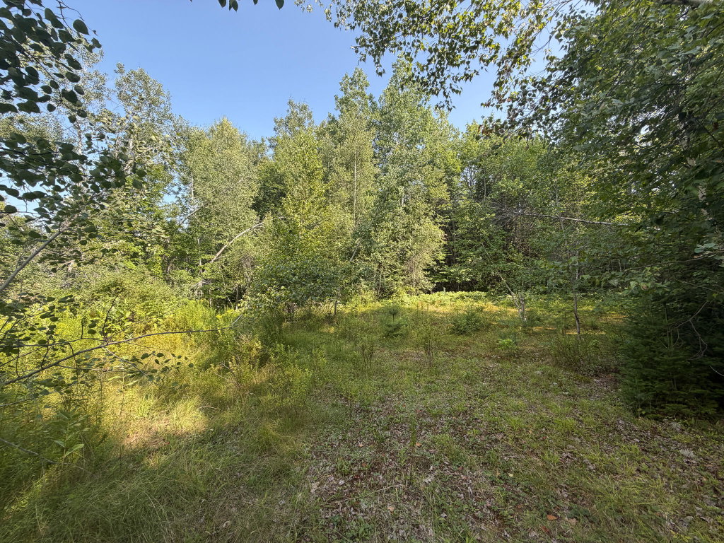 305 Hovey Road Milo