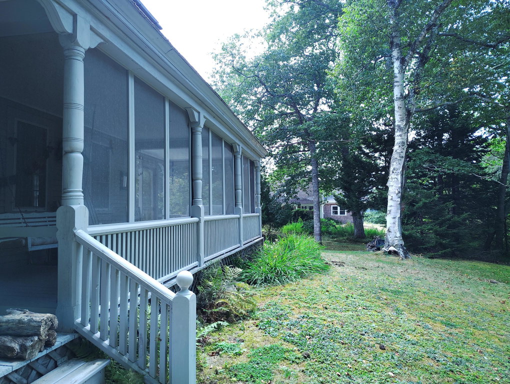 front yard