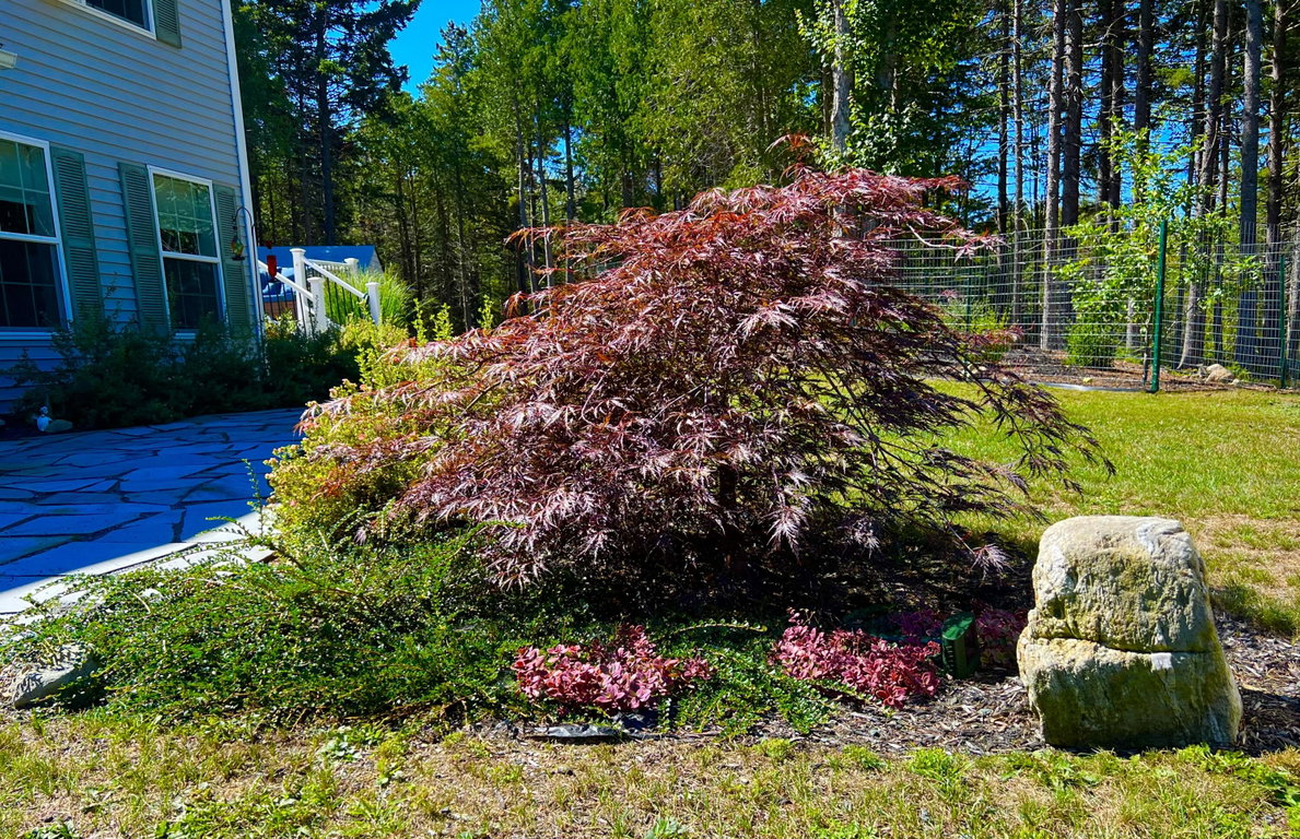 Landscaping
