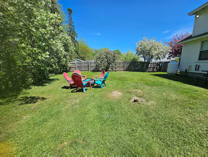 Back yard