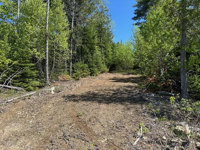 Lot 3 Mt. Jefferson Heights Lee