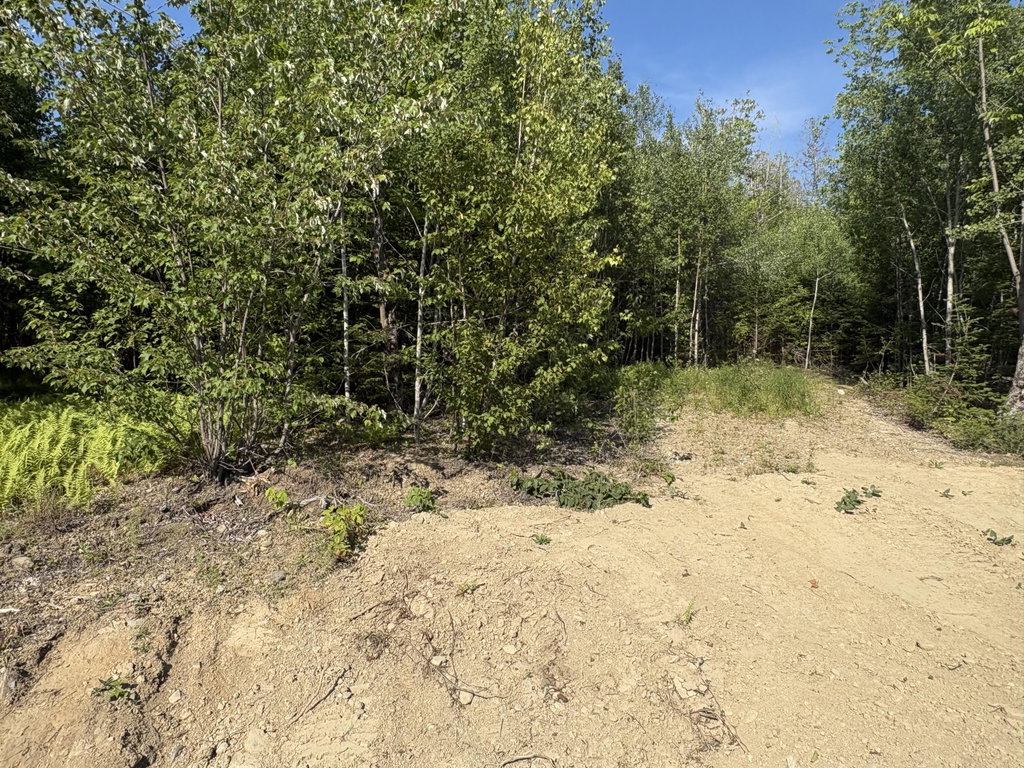 Lot 4 Mt. Jefferson Heights Lee