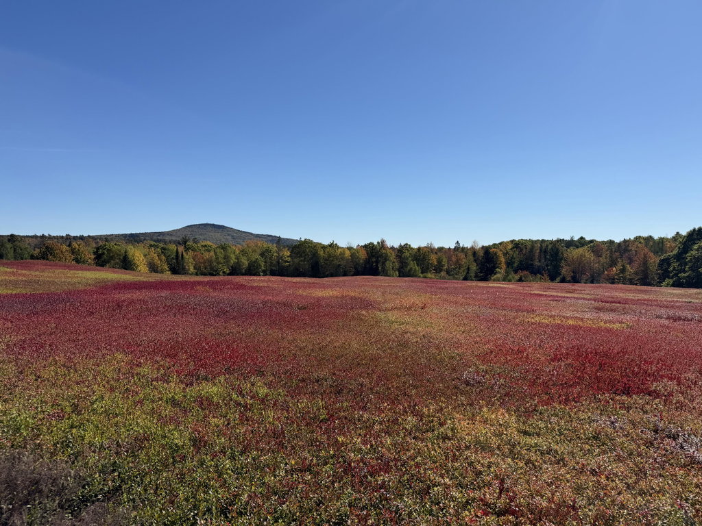 MAP 31 LOT 29