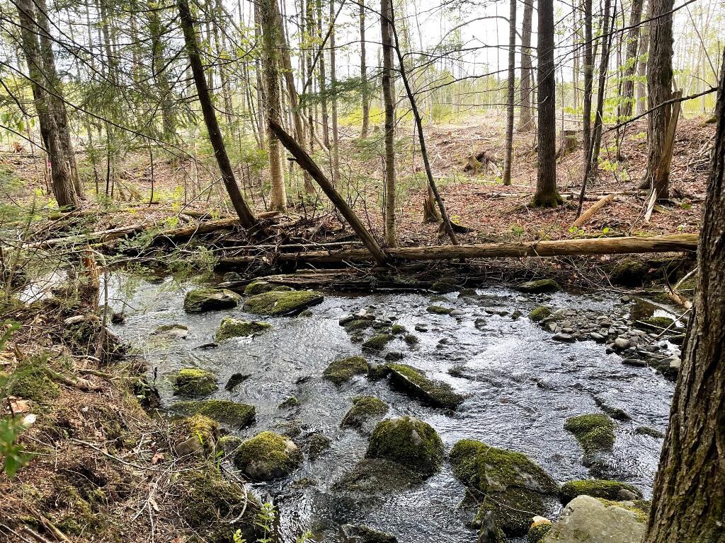 Lot #7 Hammond Brook Road Monson