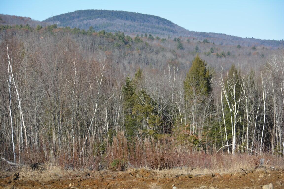 Lot 137.25 French Hill Road Albany Twp