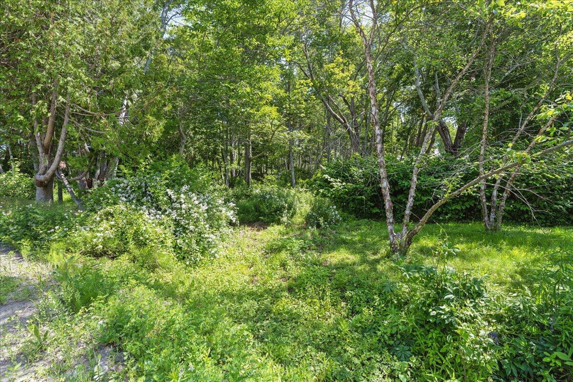 14-Land - Northeast Harbor-6