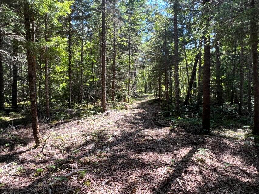 Walking Trail