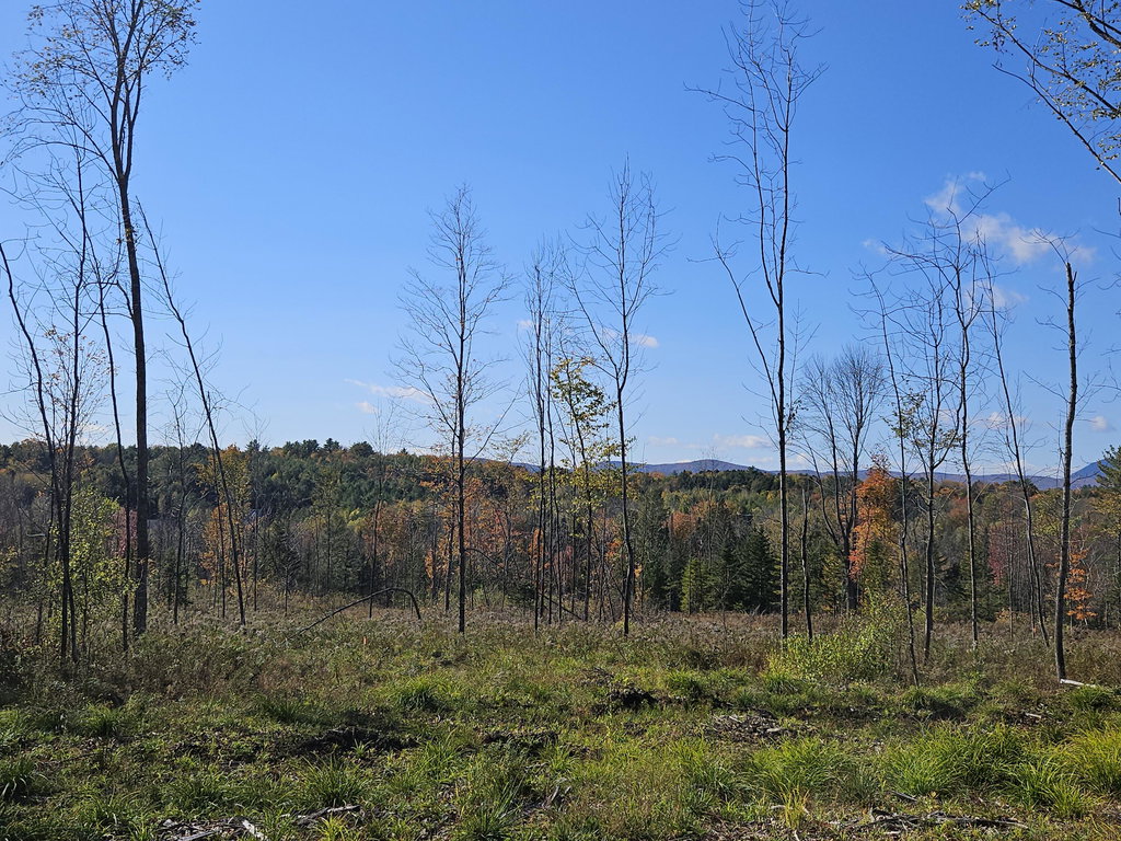R11-033-5 Bailey Hill Road Farmington