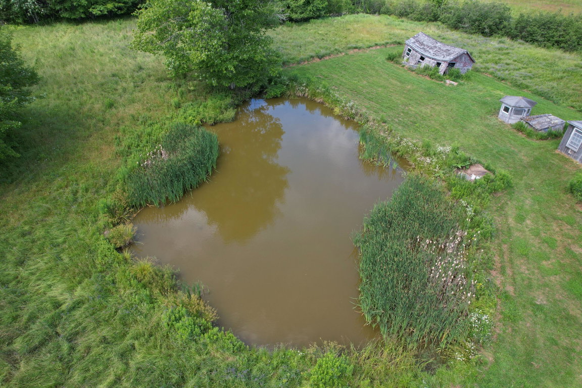Farm Pond