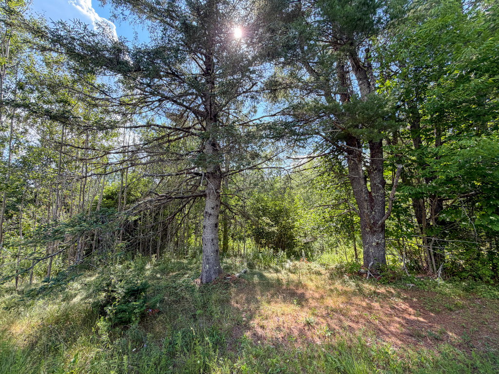 524 Millvale Road Bucksport