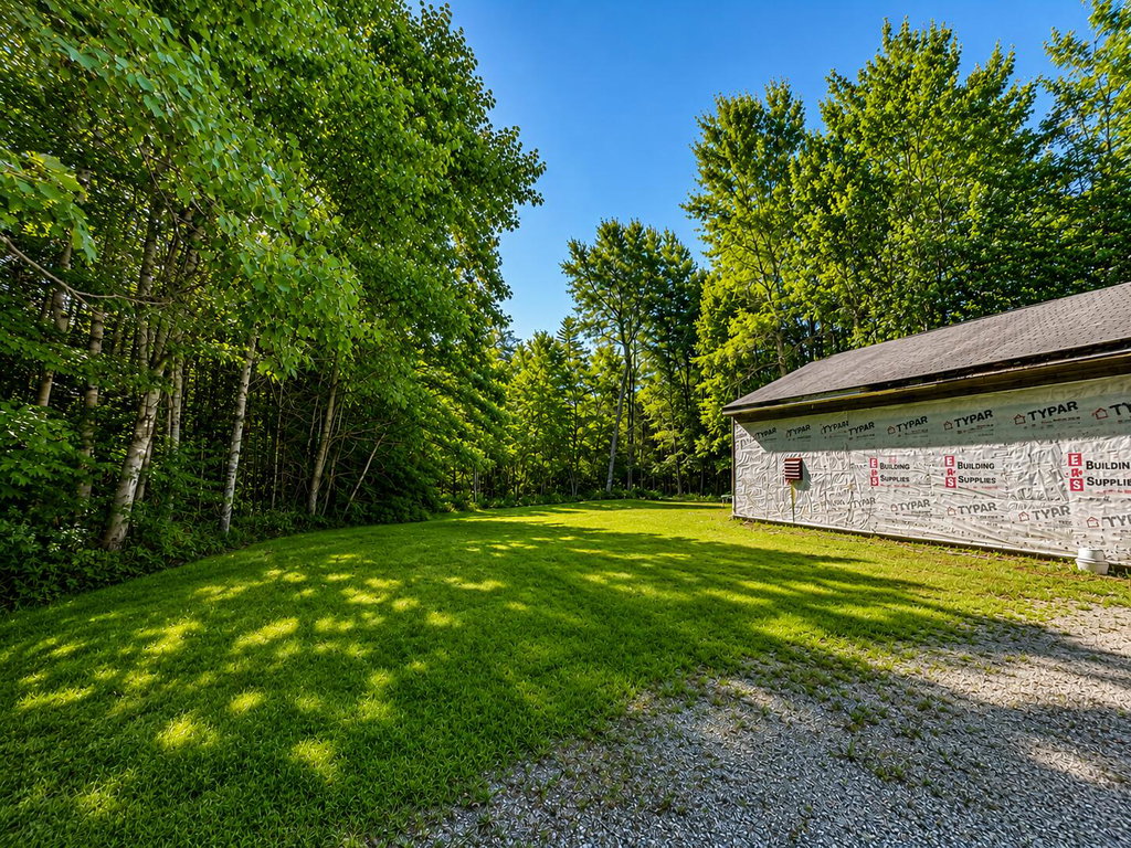 back yard