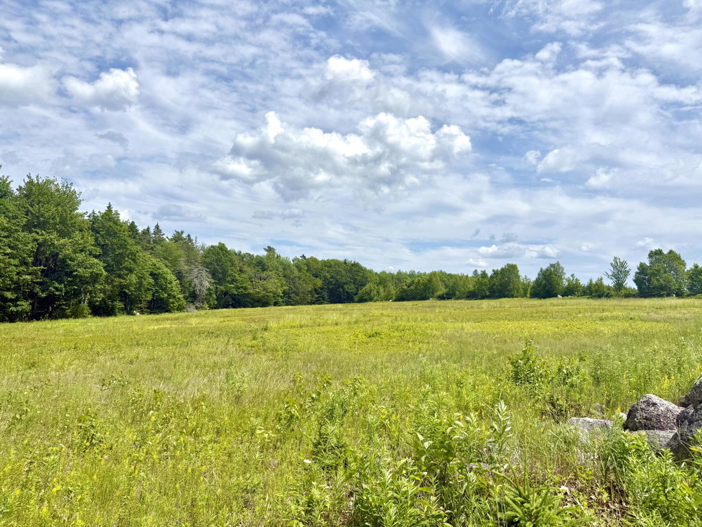 Lot 4