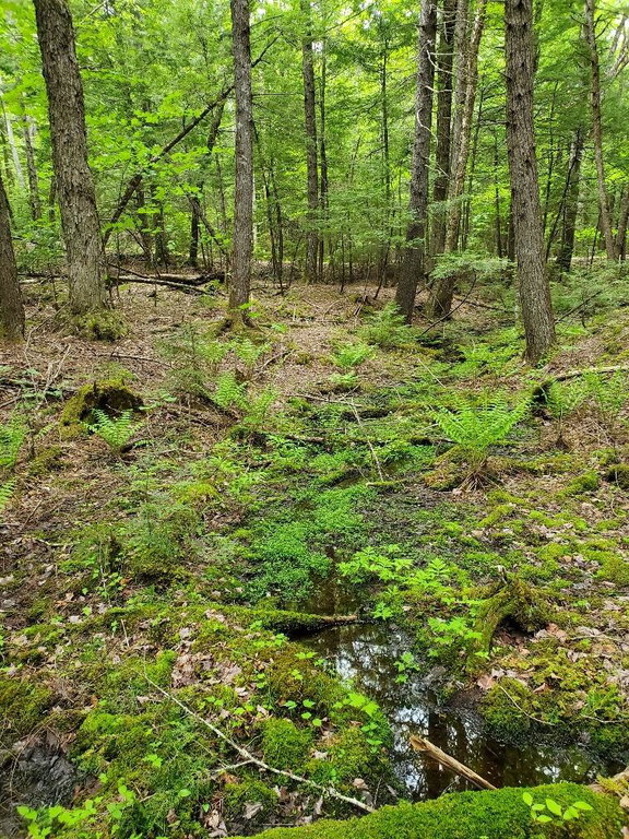 small runoff on northerly side