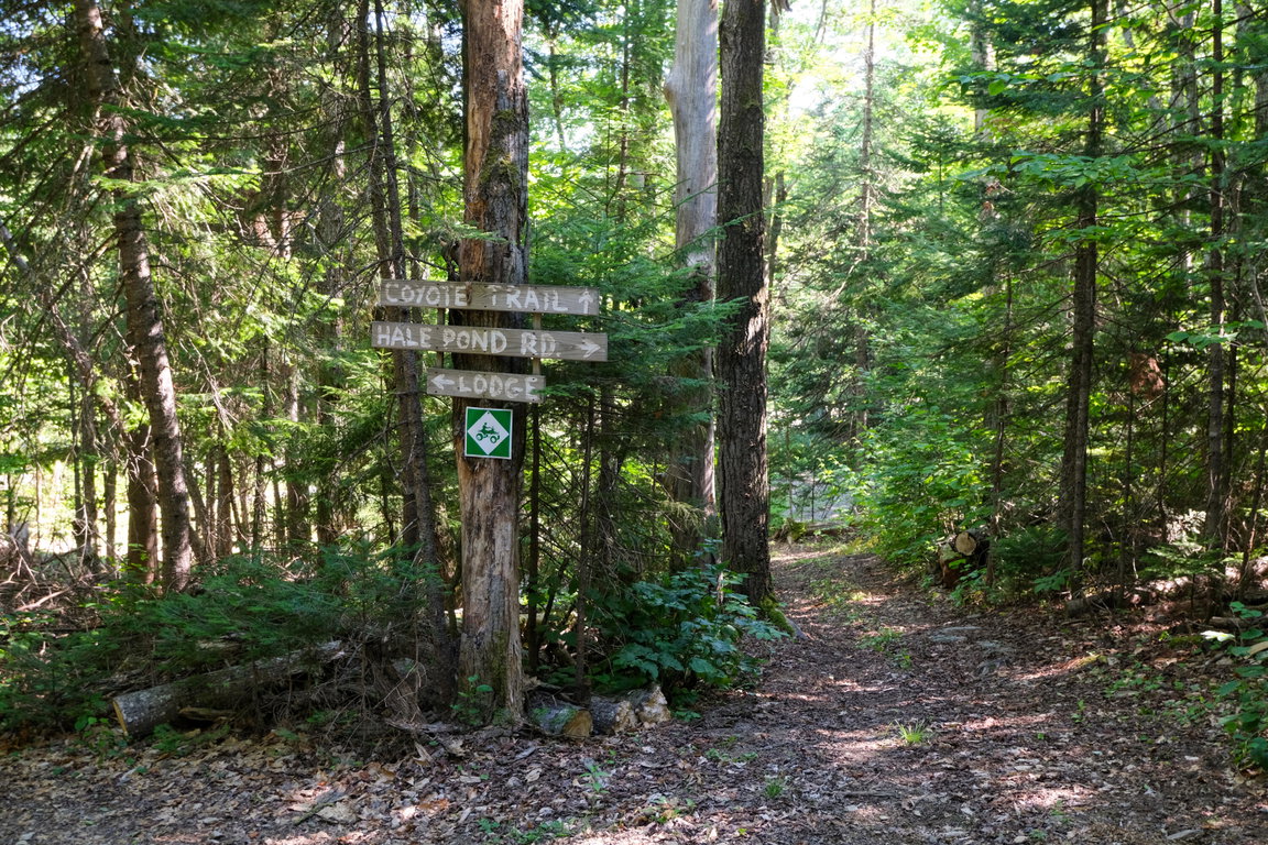 626 Aroostook Scenic Highway Moro Plt