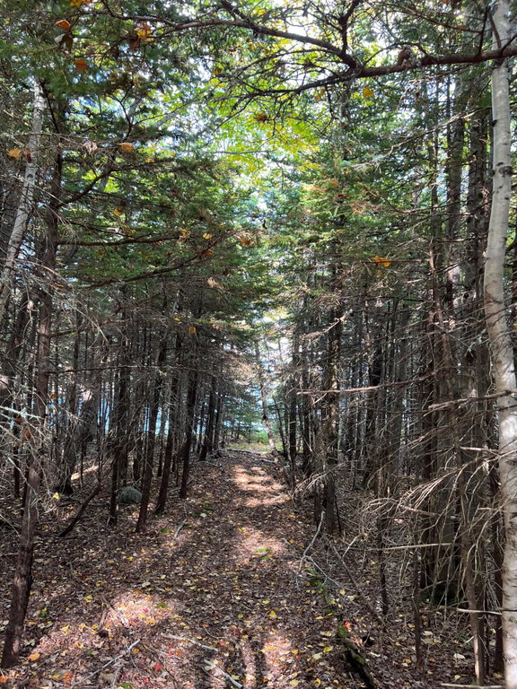 trail 2