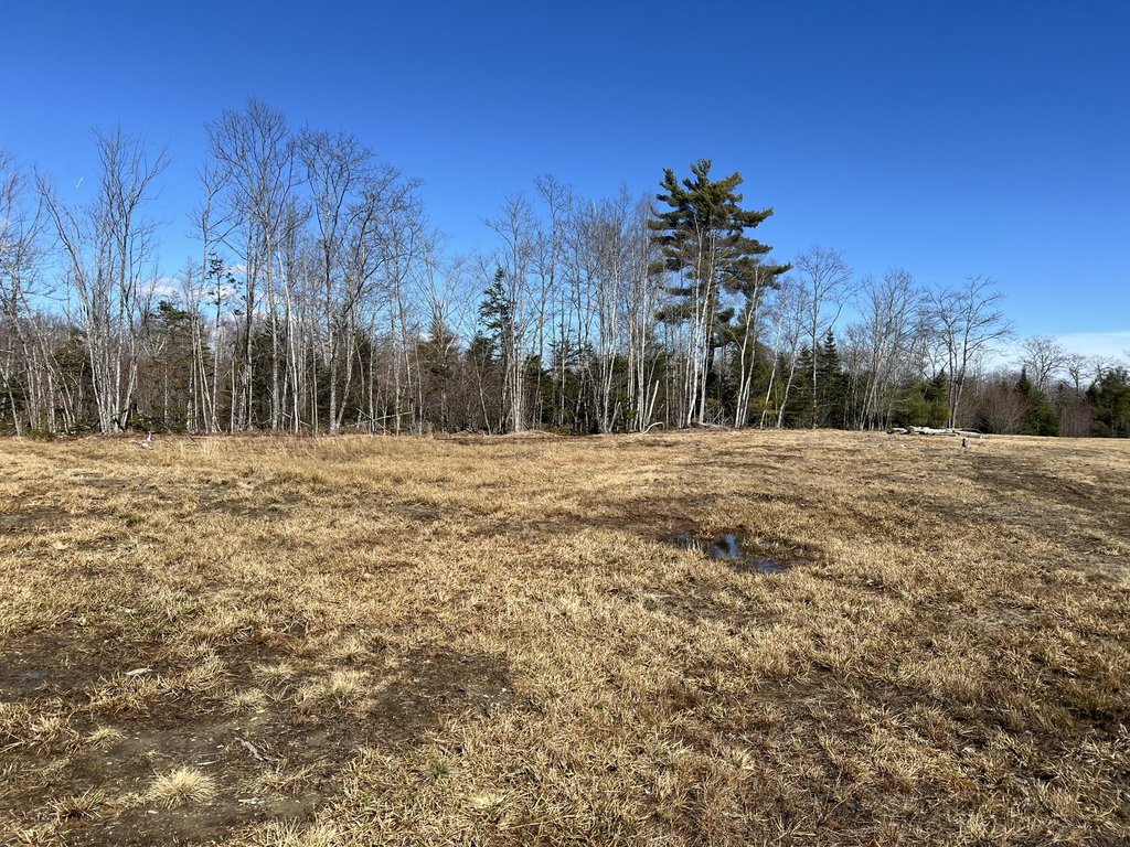 0 Holmes Drive Bucksport