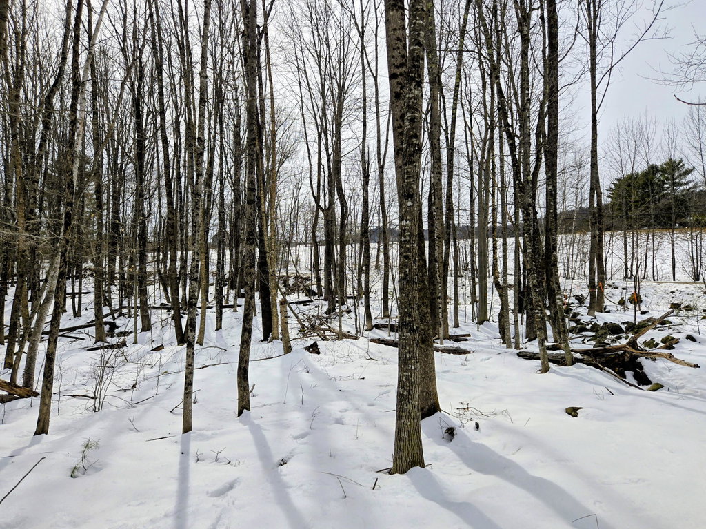 Lot 26 Canton Mountain Road Jay
