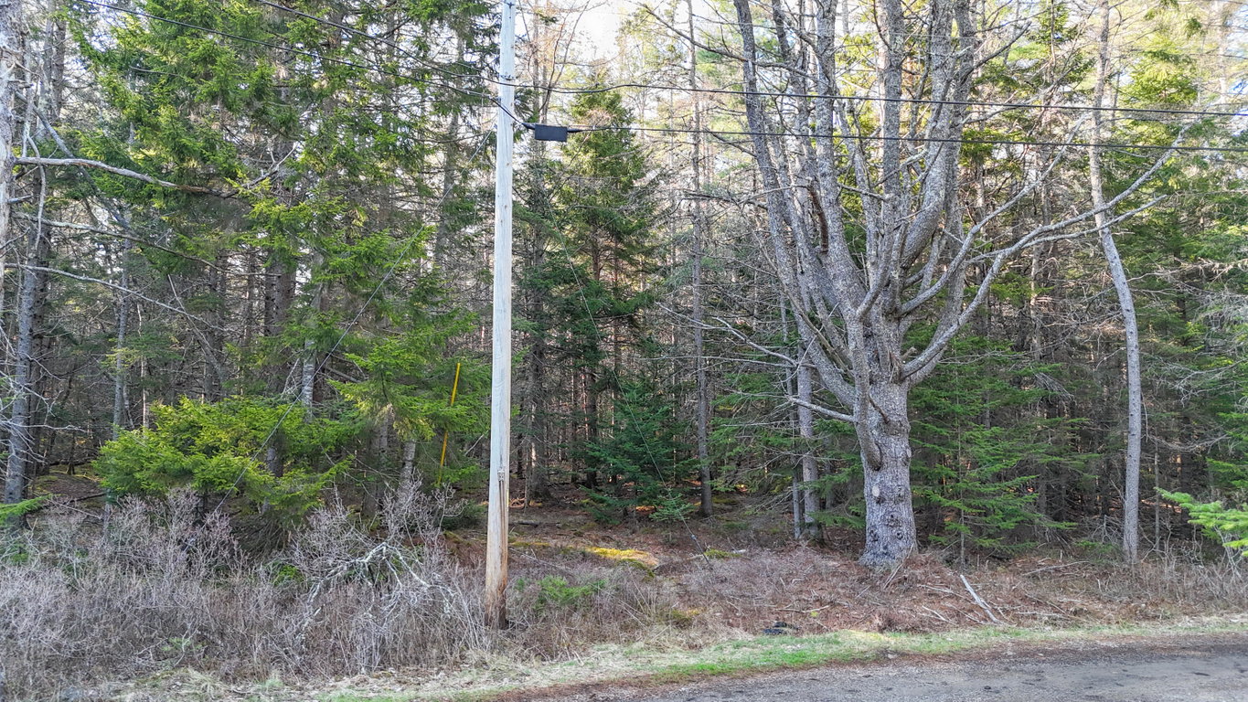 Power pole next to lot.