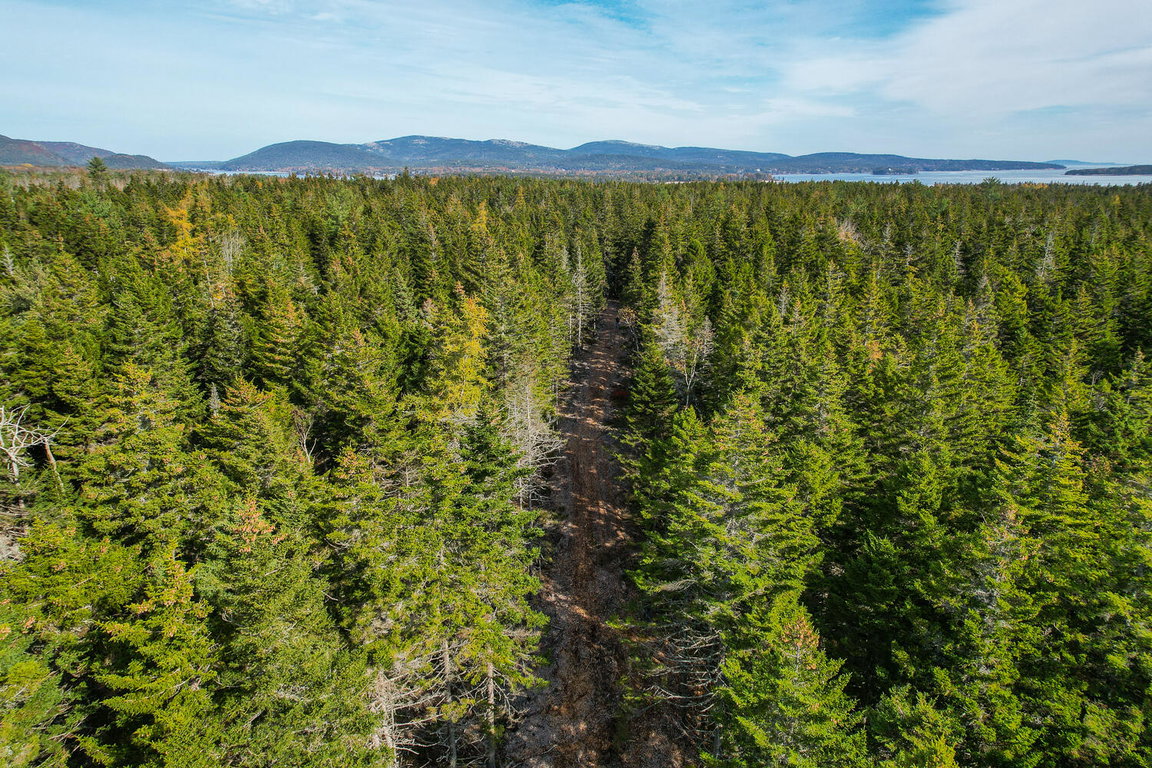 Preserve at Acadia Pines