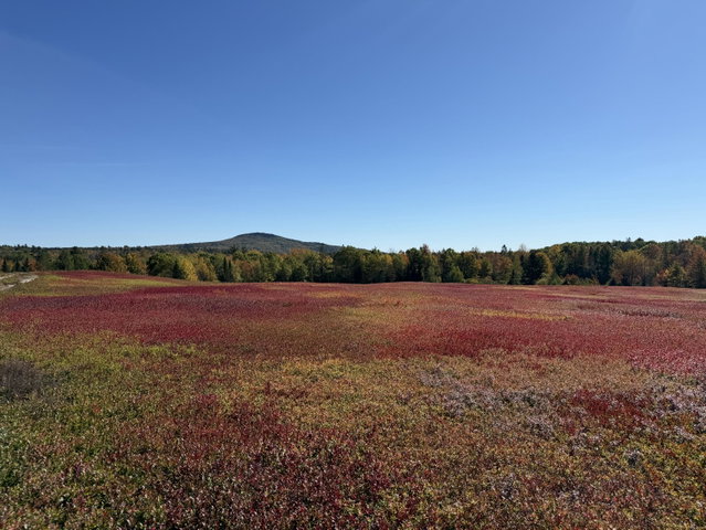 Incredible view of Blue Hill Mountain &amp; Blueberry fields.