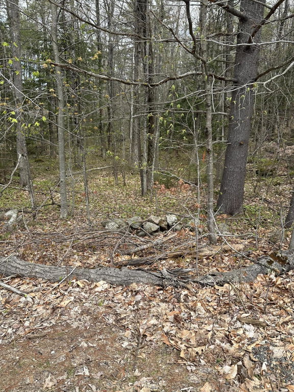 Lot #4 - 344 Moose Hill Road Livermore Falls
