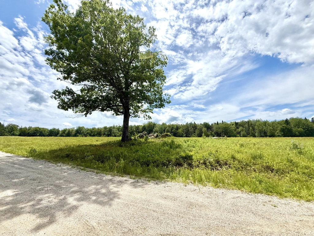 Lot 9