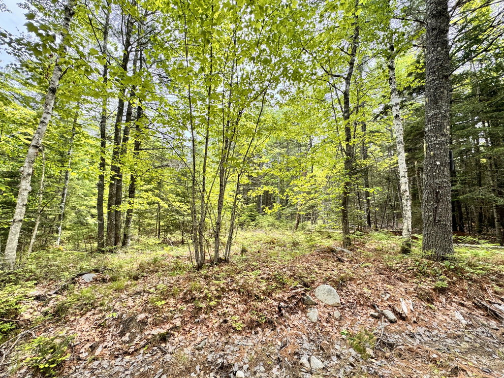 18-B Back Pasture Lane Blue Hill