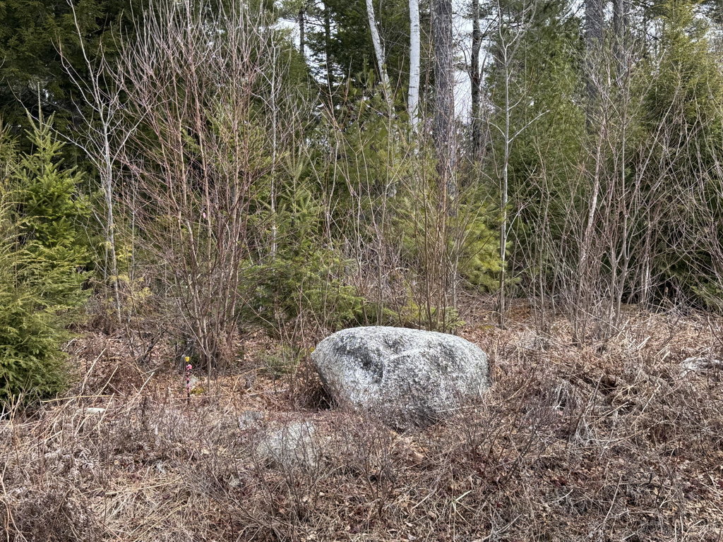 Left Side of Lot